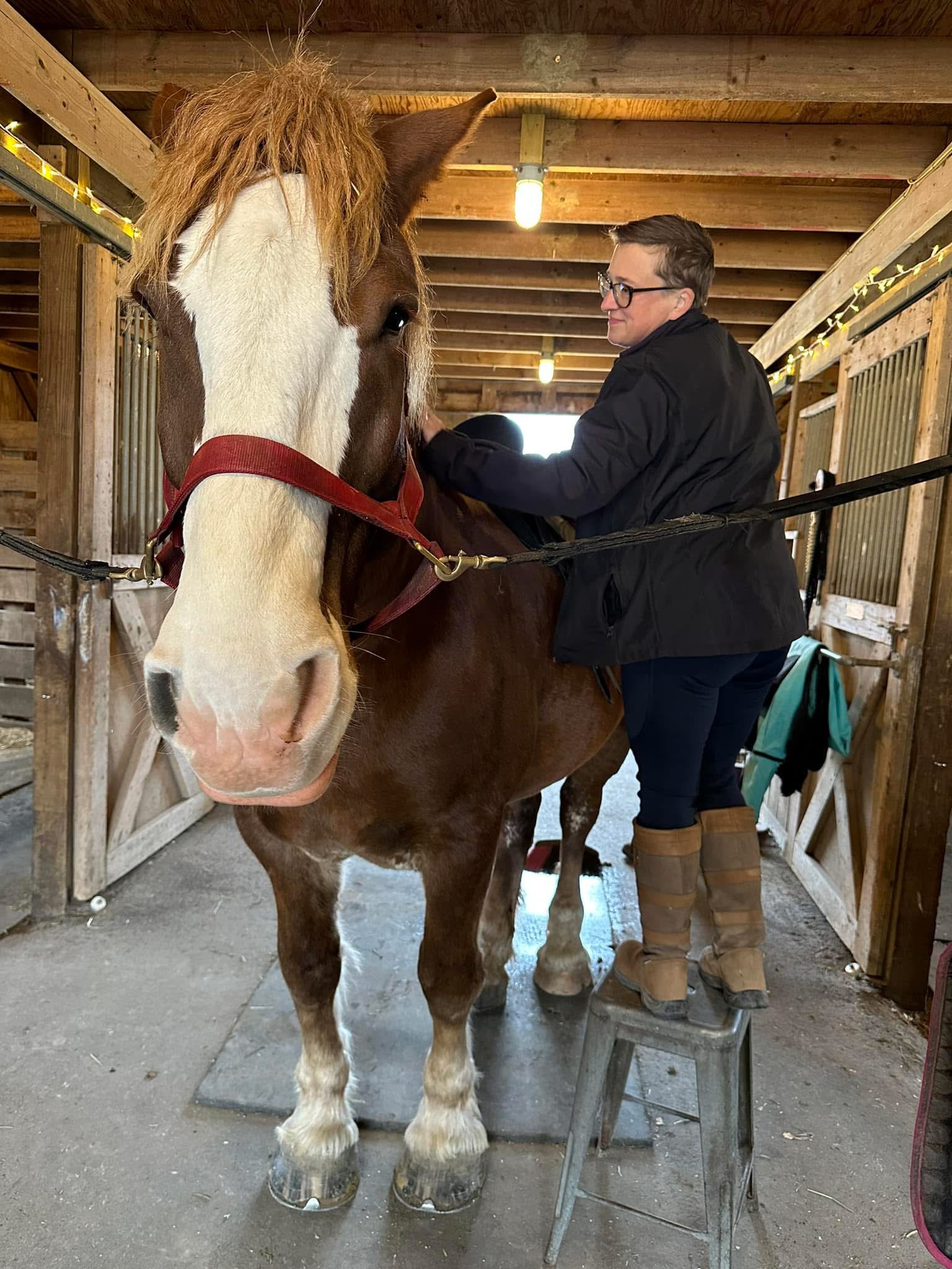 Lauren - Mid Atlantic Saddlery